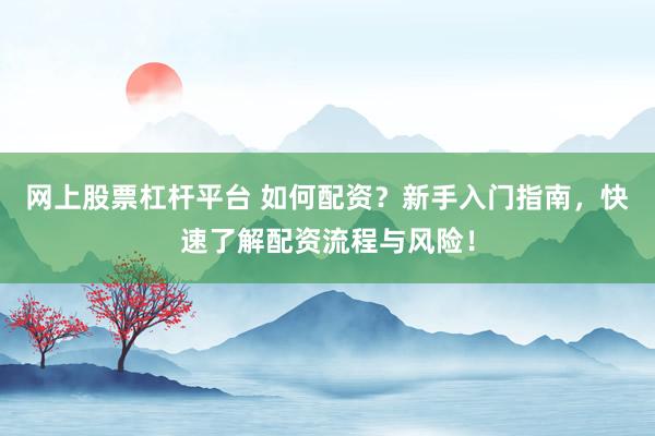 网上股票杠杆平台 如何配资？新手入门指南，快速了解配资流程与风险！