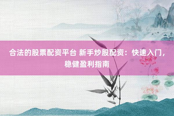 合法的股票配资平台 新手炒股配资：快速入门，稳健盈利指南