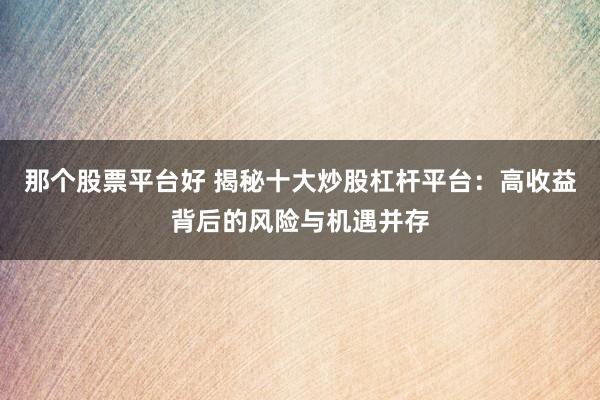 那个股票平台好 揭秘十大炒股杠杆平台：高收益背后的风险与机遇并存