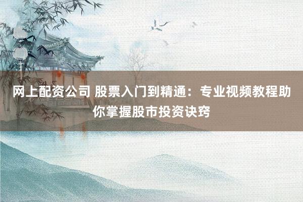 网上配资公司 股票入门到精通：专业视频教程助你掌握股市投资诀窍