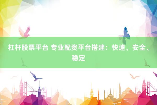 杠杆股票平台 专业配资平台搭建：快速、安全、稳定