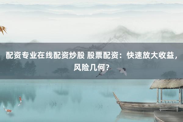 配资专业在线配资炒股 股票配资：快速放大收益，风险几何？