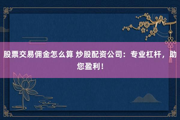 股票交易佣金怎么算 炒股配资公司：专业杠杆，助您盈利！