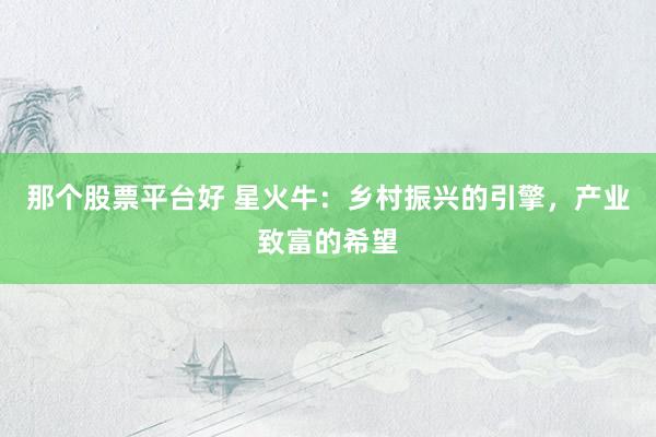那个股票平台好 星火牛：乡村振兴的引擎，产业致富的希望