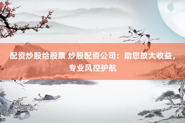 配资炒股给股票 炒股配资公司：助您放大收益，专业风控护航